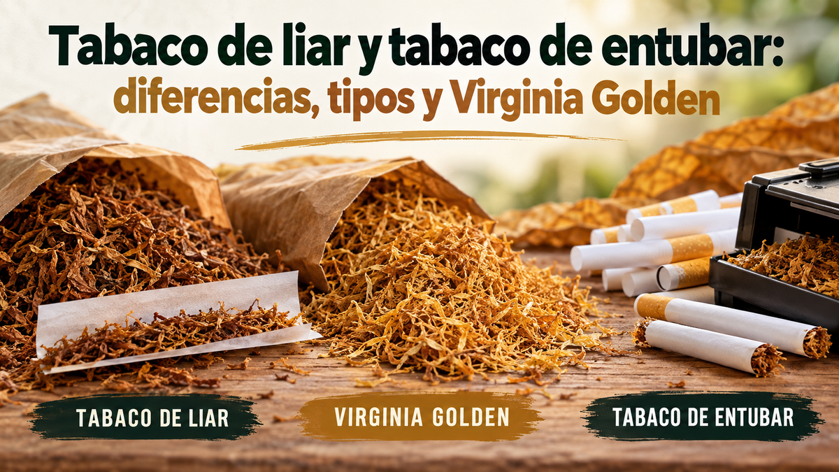 Tabaco de liar y tabaco de entubar: diferencias, tipos y Virginia Golden